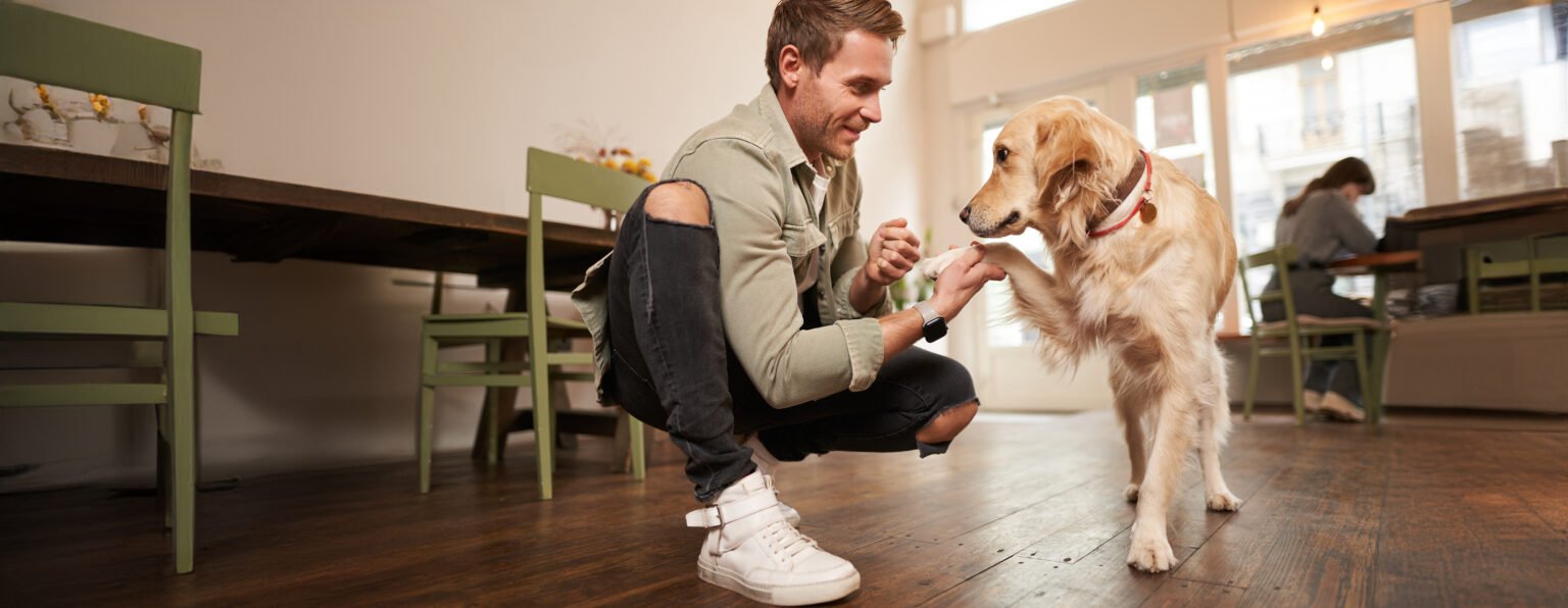 10 ways to take care of animals for class 1