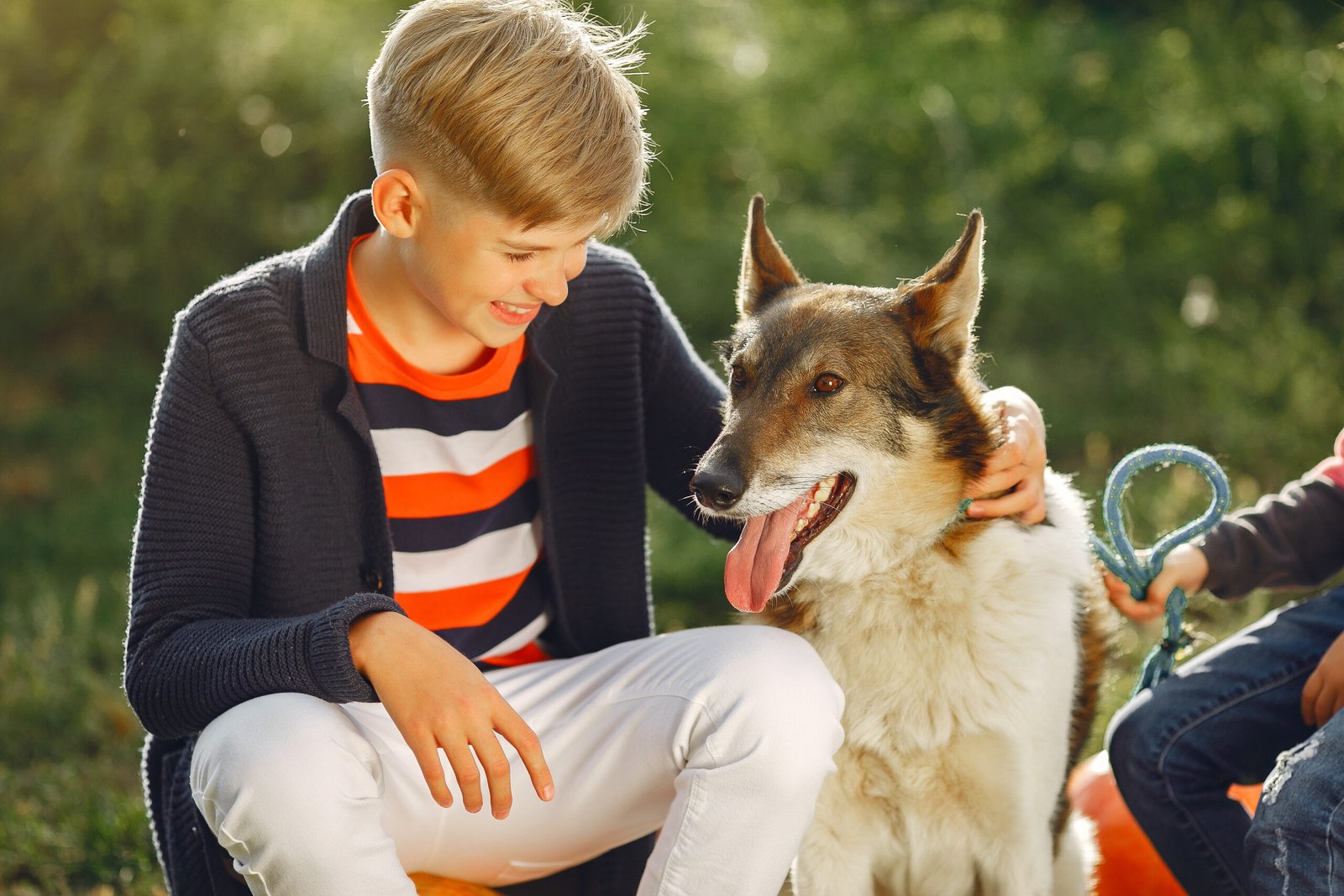 100 facts about dogs for kids