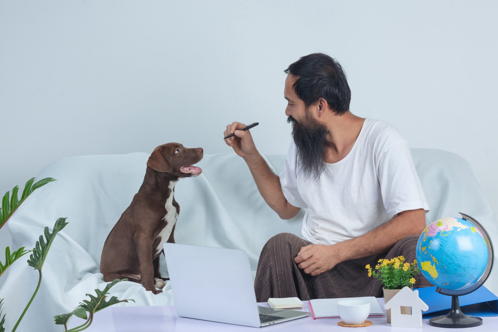 7 types of dog groups