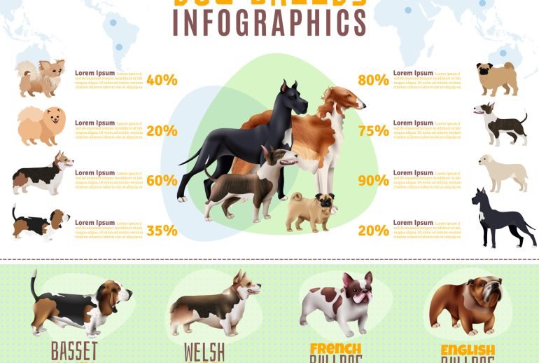 7 types of dog groups