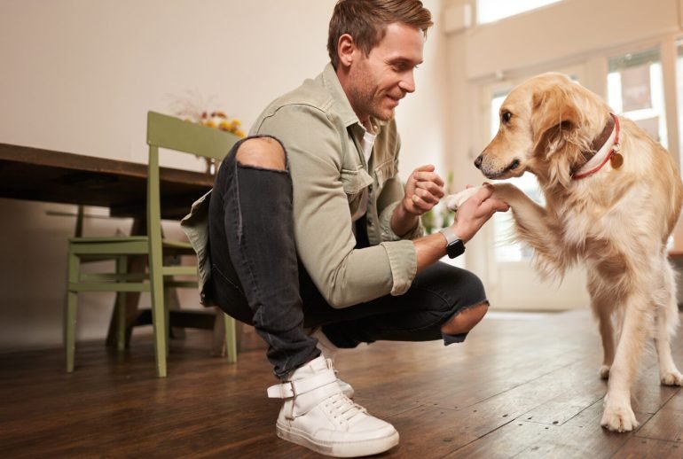 10 ways to take care of animals for class 1