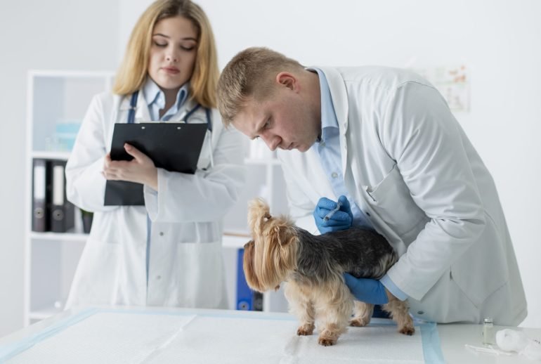 Pre-breeding health tests