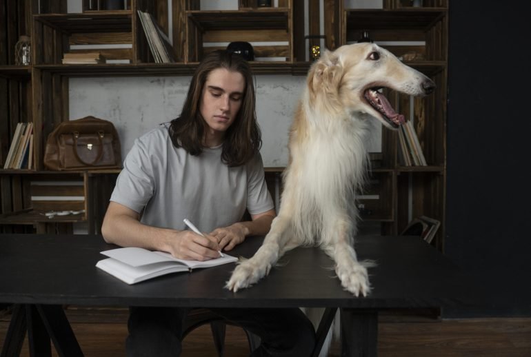 10 reasons why dogs are better than cats