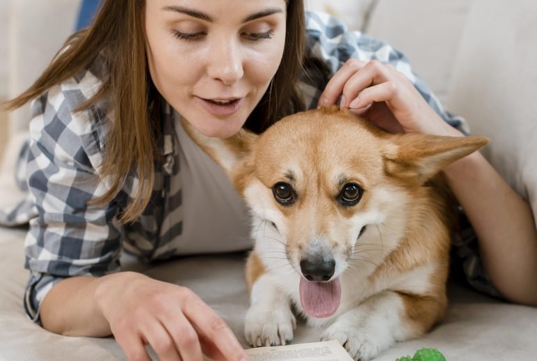 100 reasons to get a dog