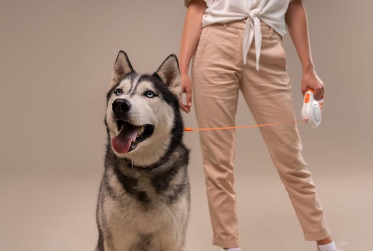 8 in 1 shot for dogs