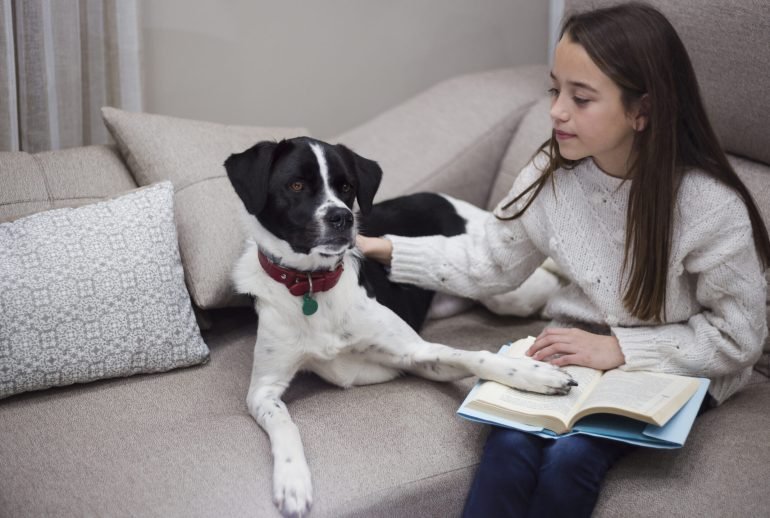 101 fun things to do with your dog