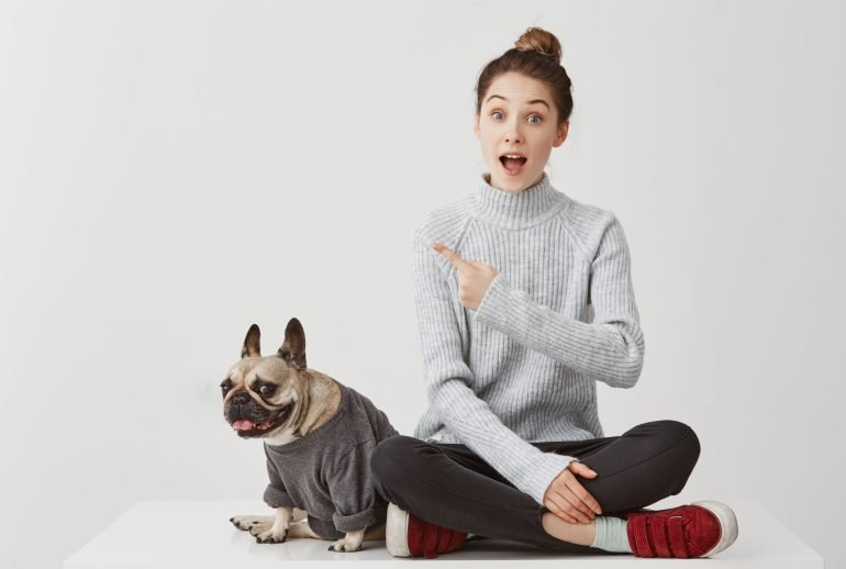 1000 reasons why dogs are better than cats